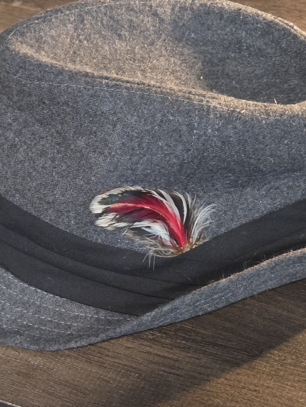 BDG Gray Felt Fedora with Black Band and Red Feather